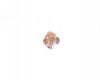 Swarovski Crystal Colorado Topaz 6mm Bicones - 6 pcs