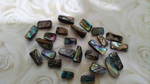 New Zealand Drilled Paua Shell Beads