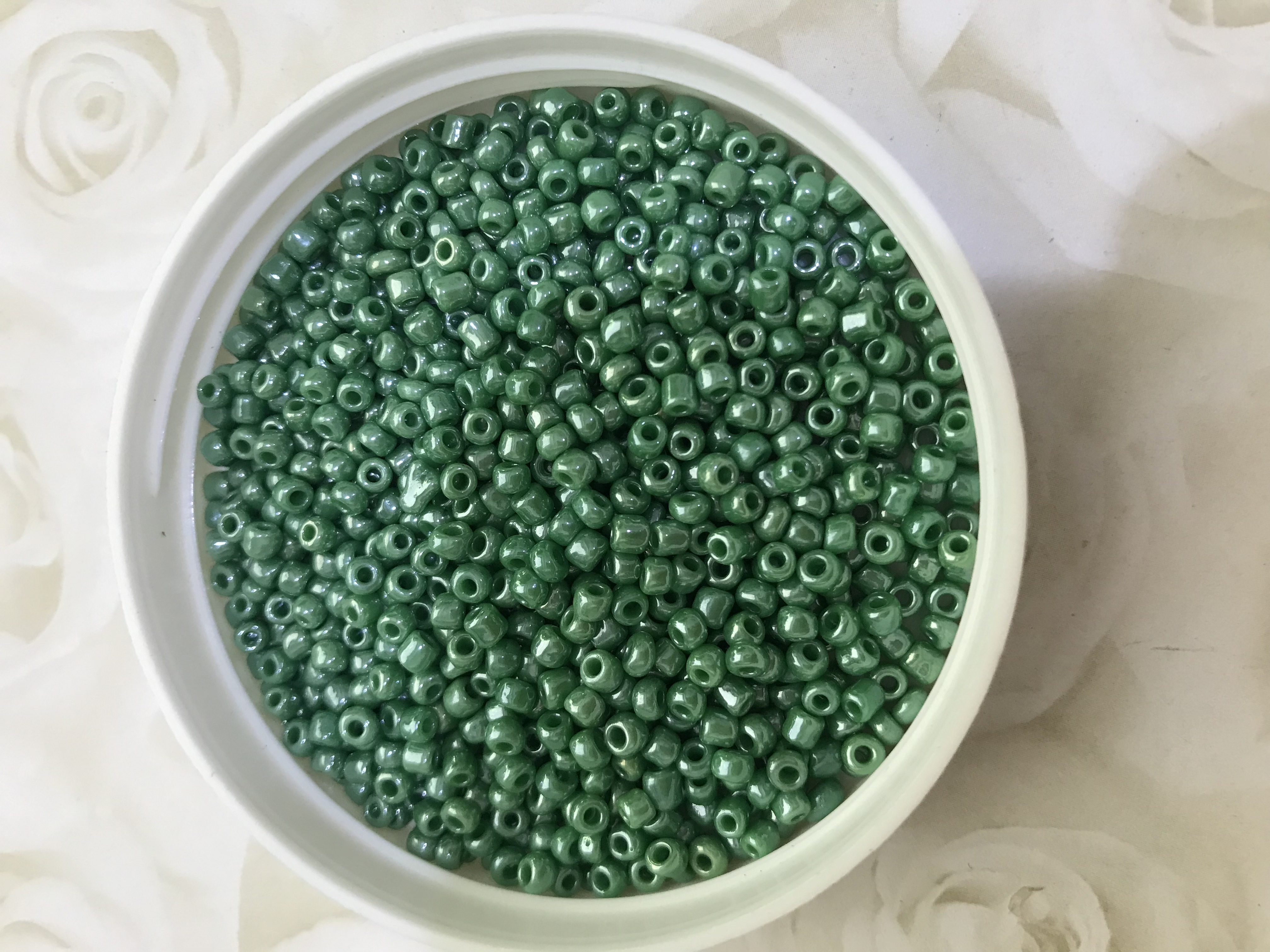 Pearlized Green 8/0 Seed Beads