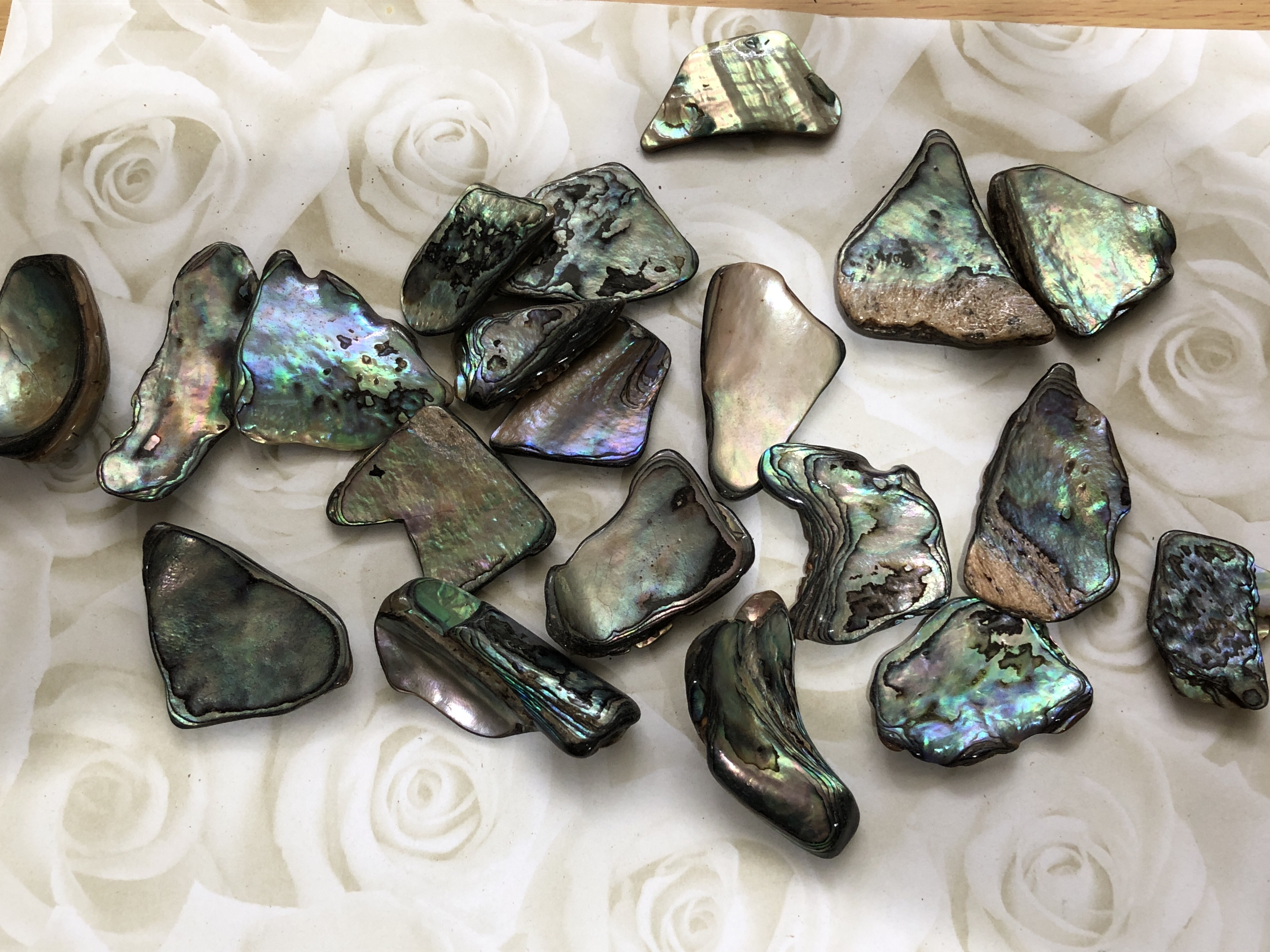 New Zealand Paua Shell Small Pieces