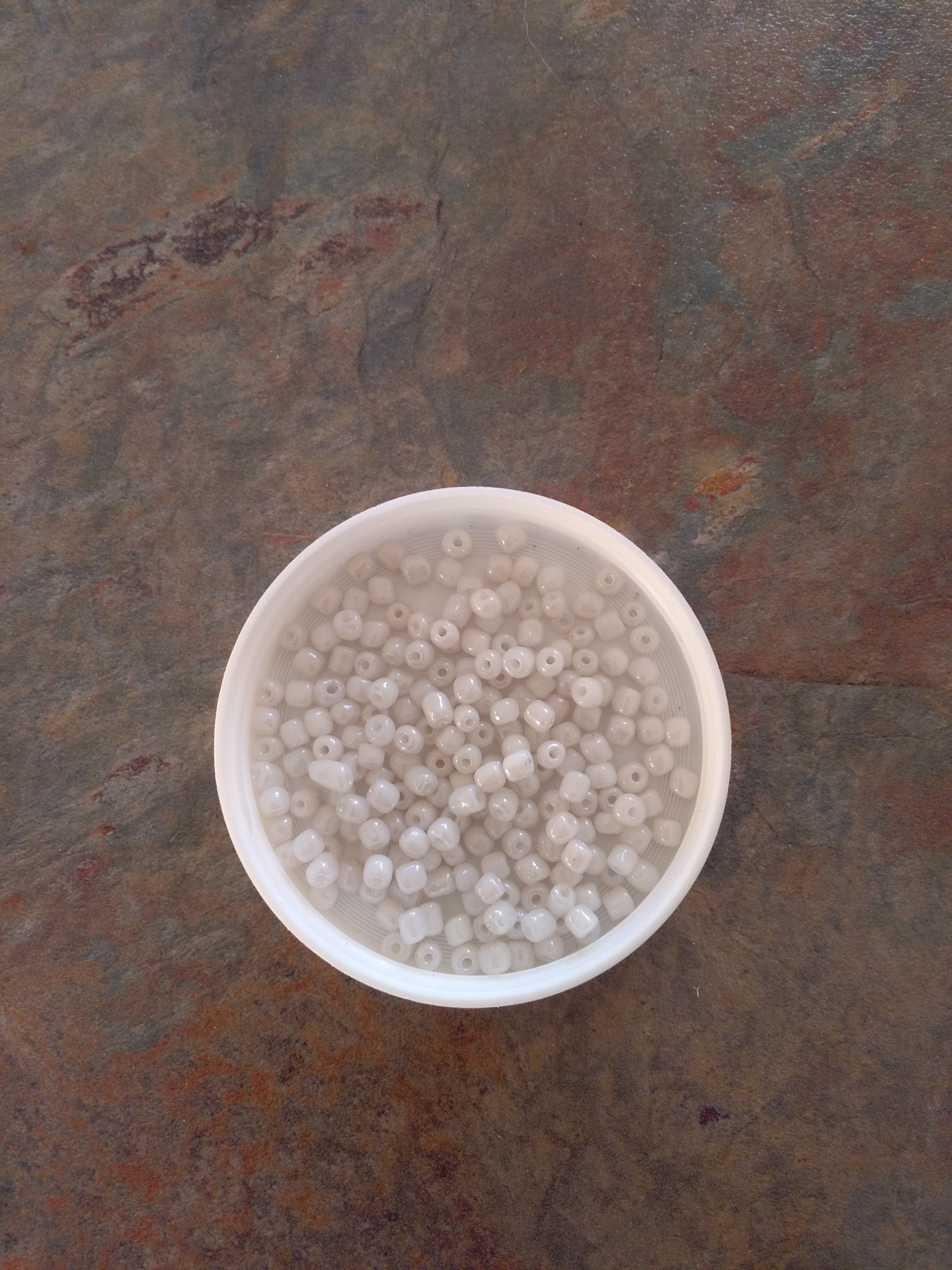 White 6/0 Seed Beads