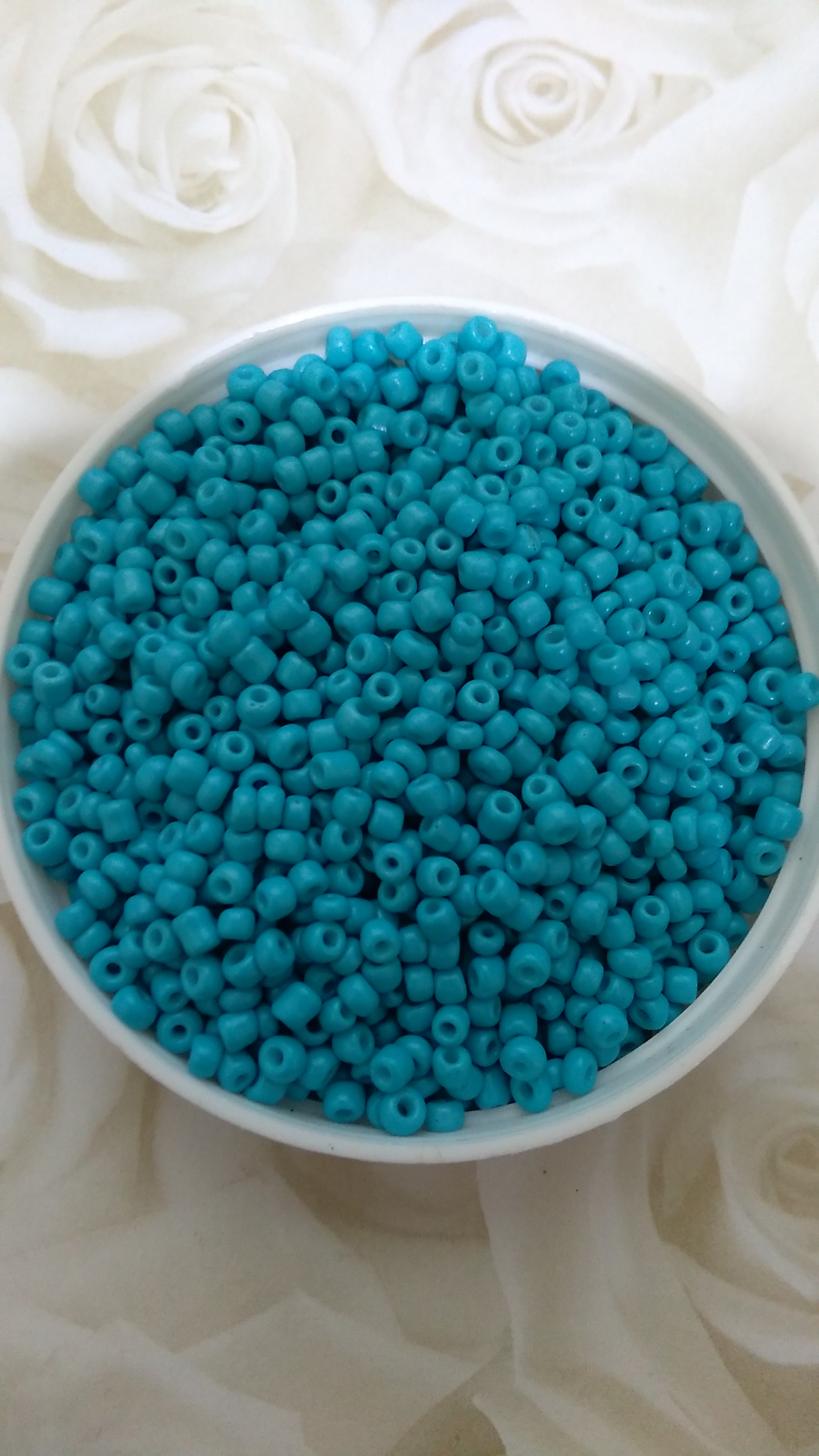 Bright Turquoise 8/0 Seed Beads